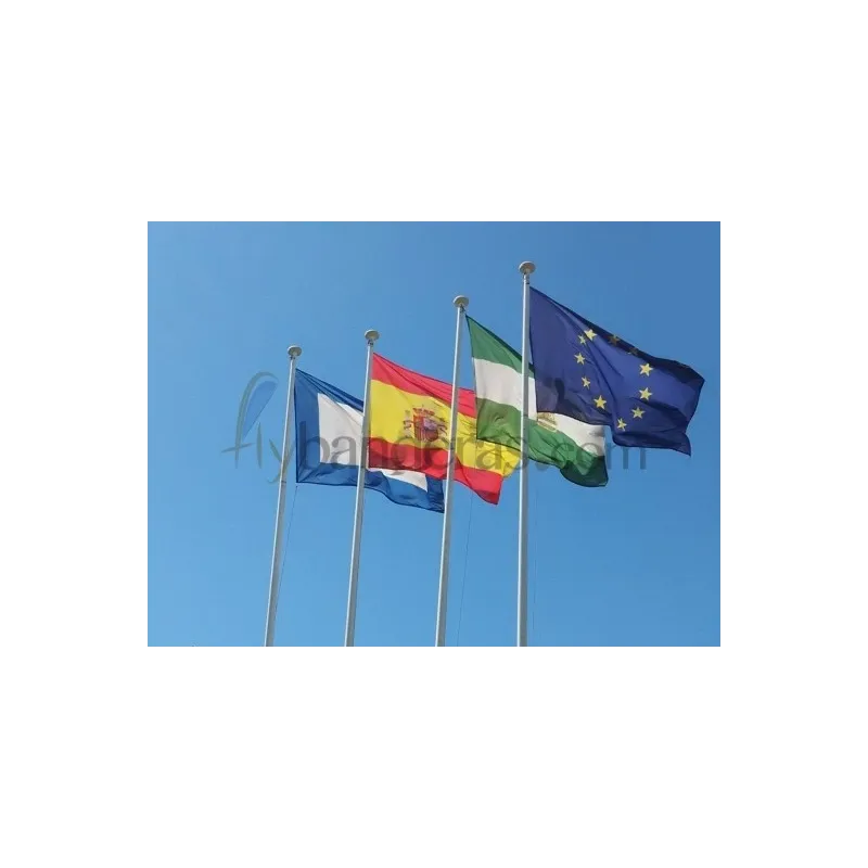 Bandera horizontal institucional