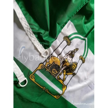 Banderas de Andalucía impresión premium