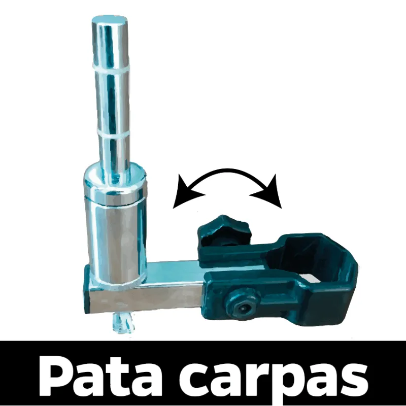Para patas de carpa